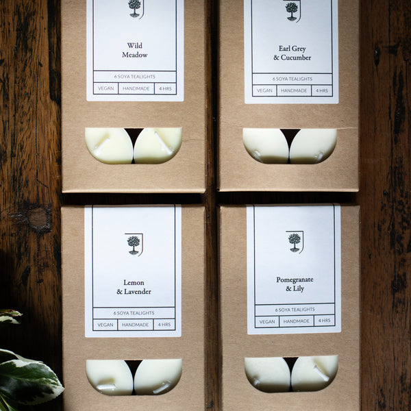Freckleface x RHS Botanics Candle, Tealight & Room Spray Bundle