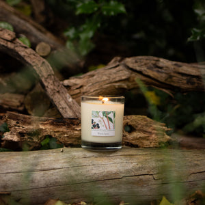 Freckleface x RHS Heritage Warm Spice Bundle