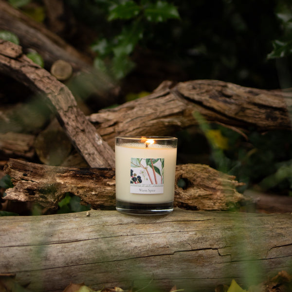 Freckleface x RHS Heritage Warm Spice Bundle
